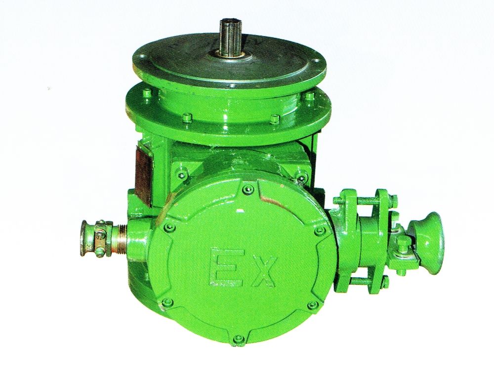 BZDY系列隔爆型錐形轉(zhuǎn)子三相異步電動(dòng)機(jī)(一機(jī)雙速大盤)